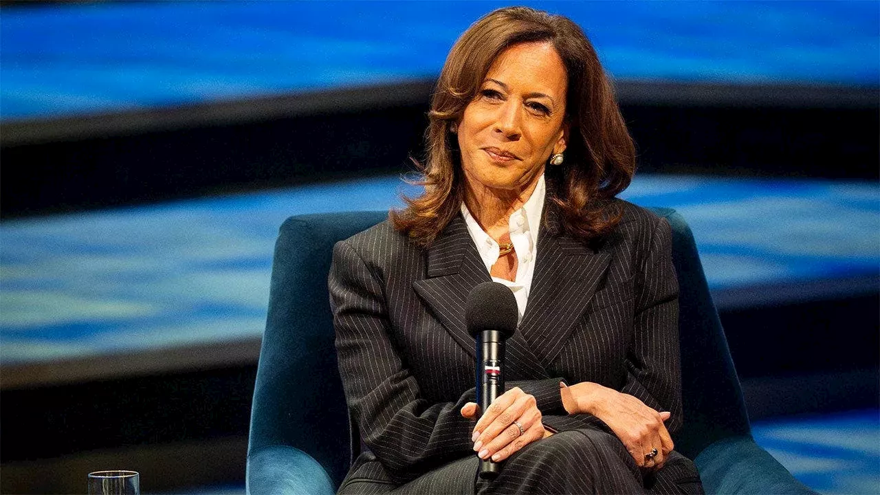 Democrats Debate Kamala Harris 2028 Run As Surrogate Says Party Wants to 'move on' from 2024 Loss