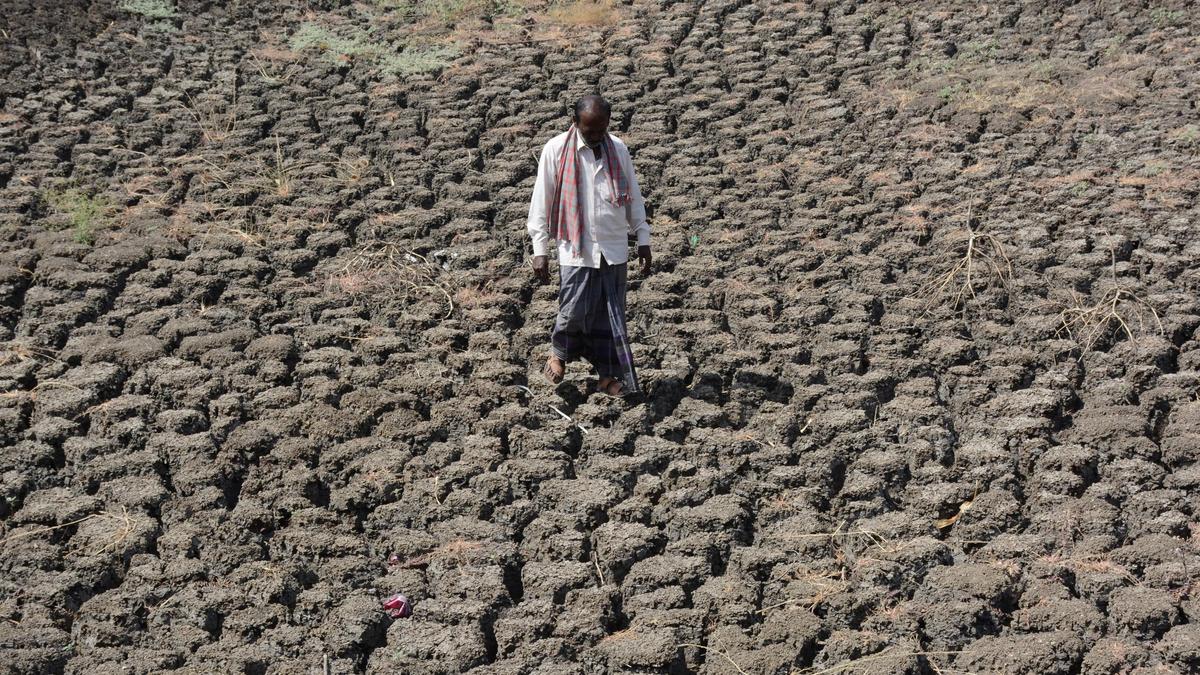 Southwest Monsoon Rainfall in Karnataka Is Second Lowest in 70 Years and Seventh Lowest in 125 Years