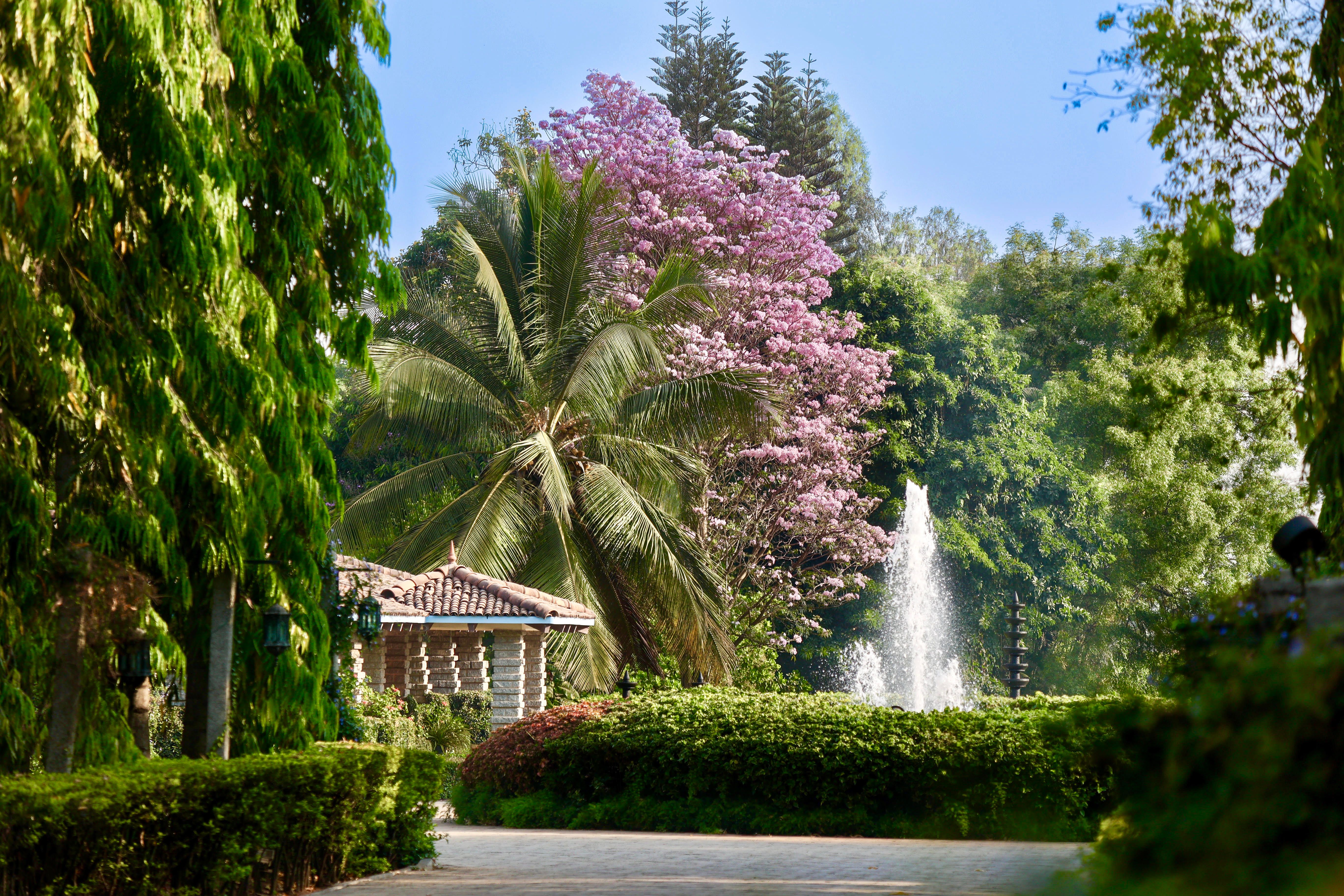 Tatler Unveils Ultimate Luxury Holiday Guide for 2025