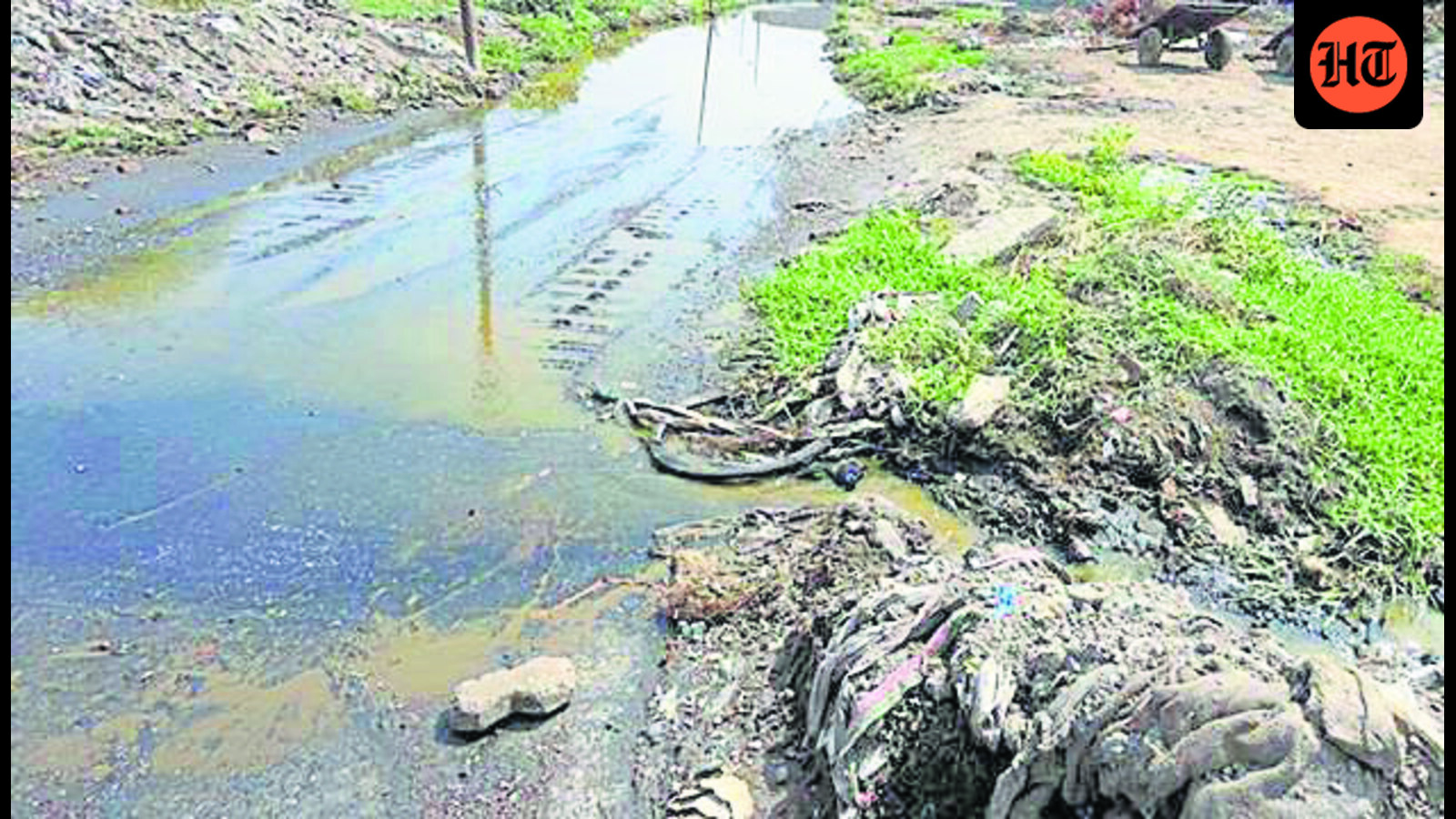Economic Impact: Ludhiana: Anti-dengue drives continue, but stagnant water persists in city pockets