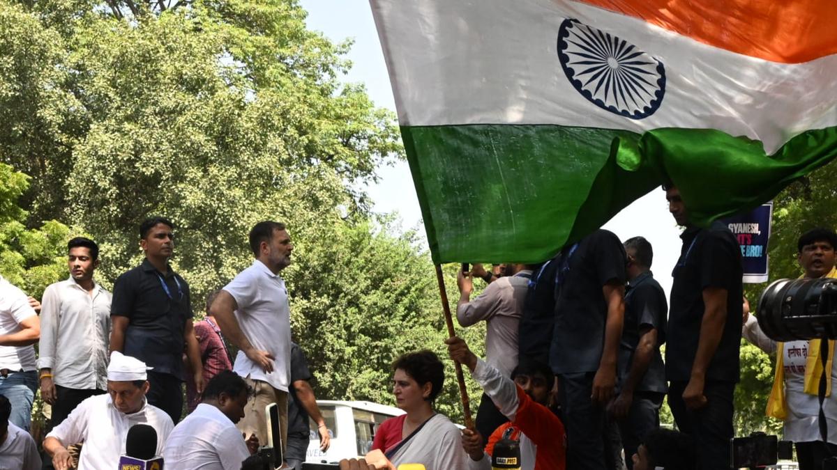 Not a Single Traitor Will Be Spared: Rahul After His Forcible Removal from Sit-in, Detention