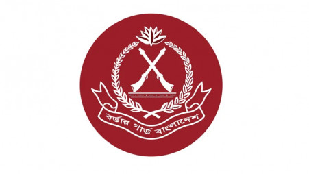 BGB Seizes Smuggled Goods Worth Tk254.21 Crore in September