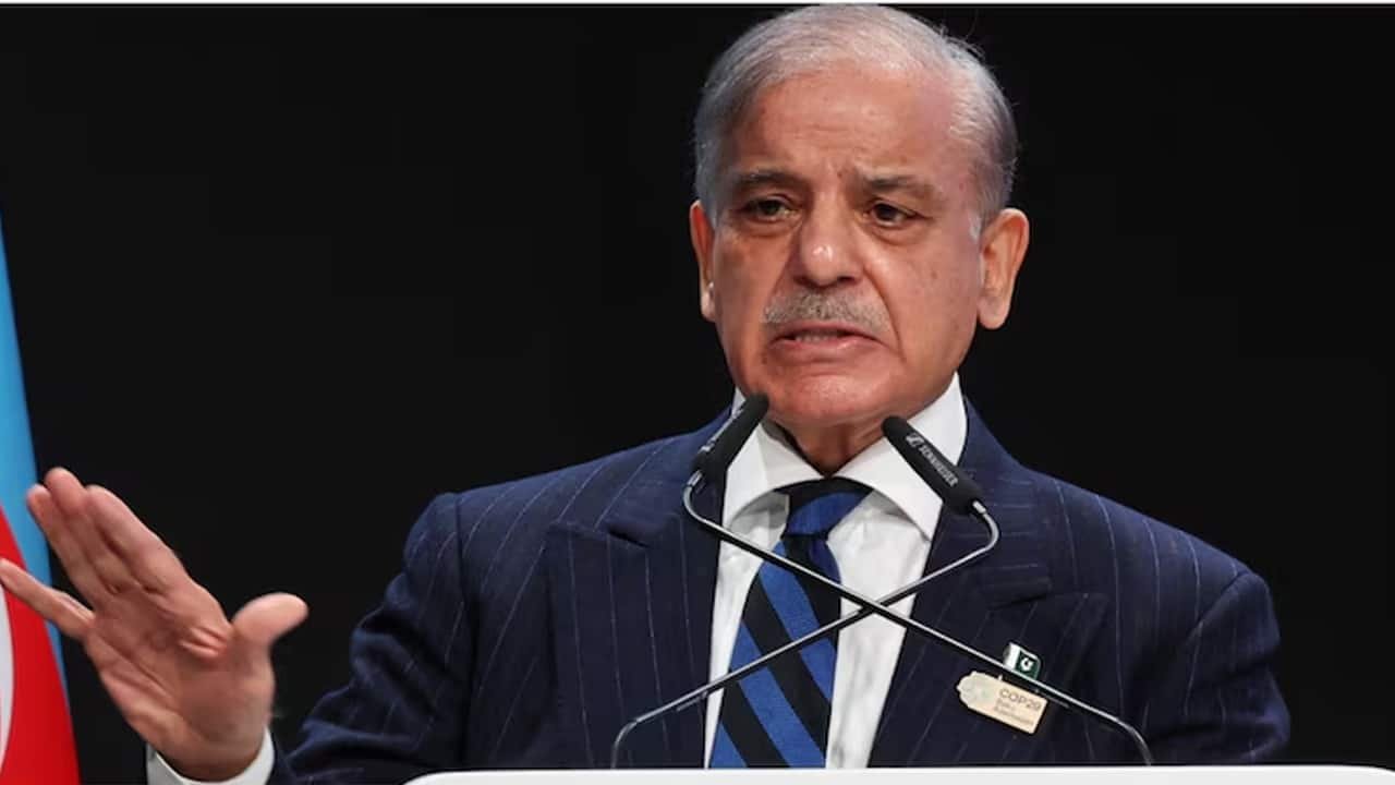 What lies did Pakistan PM Shehbaz Sharif tell at UNGA? Key claims fact-checked