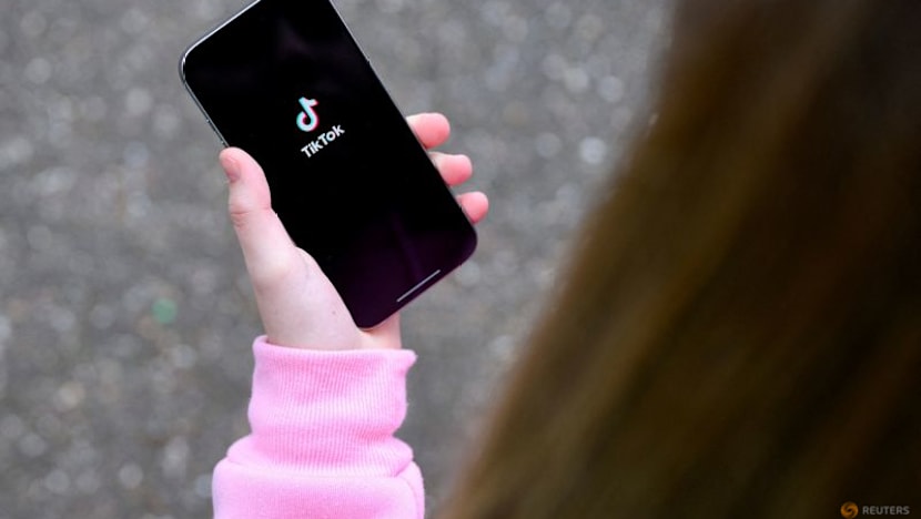 TikTok Gave Teens, Children Placebo Safety Feature in Experiment, New York Alleges