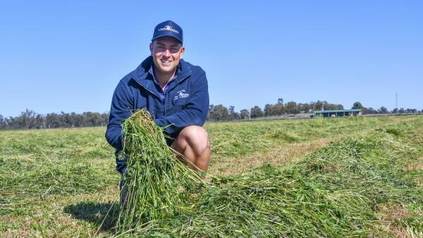 How a first-gen farmer built a thriving hay, contracting and cattle operation
