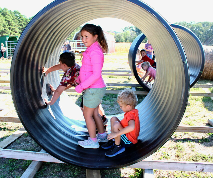 Pumpkin Patch Playtime: Autumn's Simple Joys Return