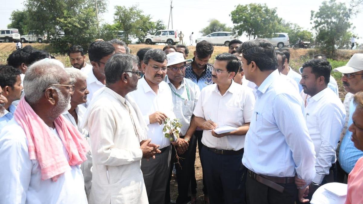 Drought Crisis Deepens: Central Teams Fan Out Across Parched States