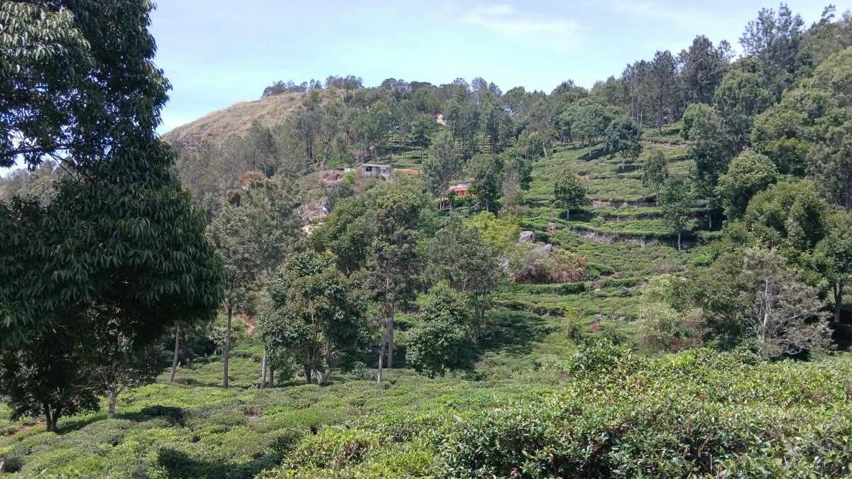 40-year-old demand for road to Scheduled Caste village causes communal rift in Nilgiris