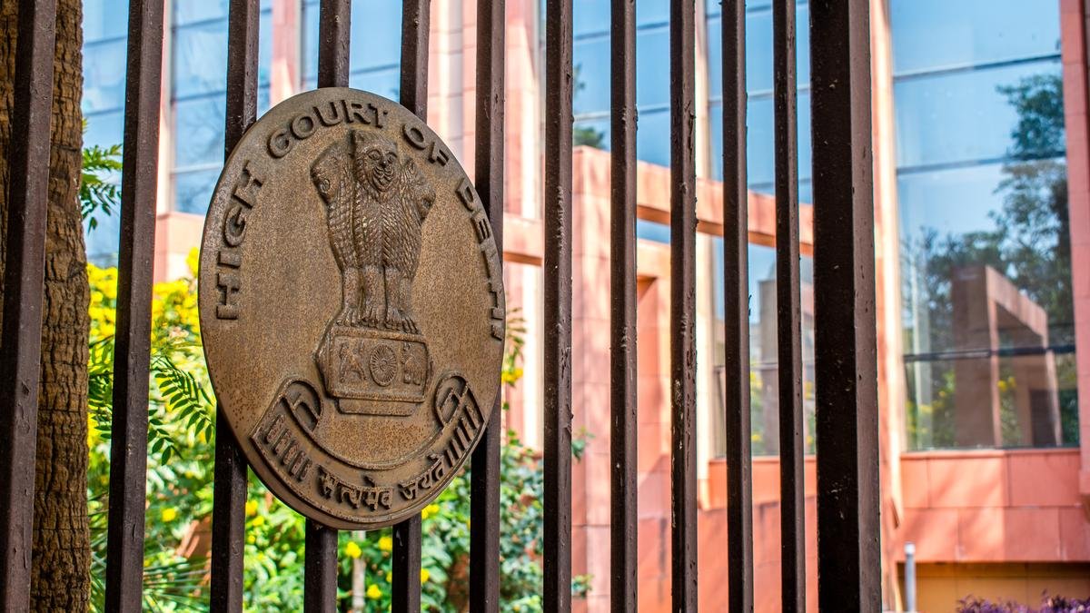 Muslim marriage doesn't remove criminality of physical relations with minor: Delhi HC
