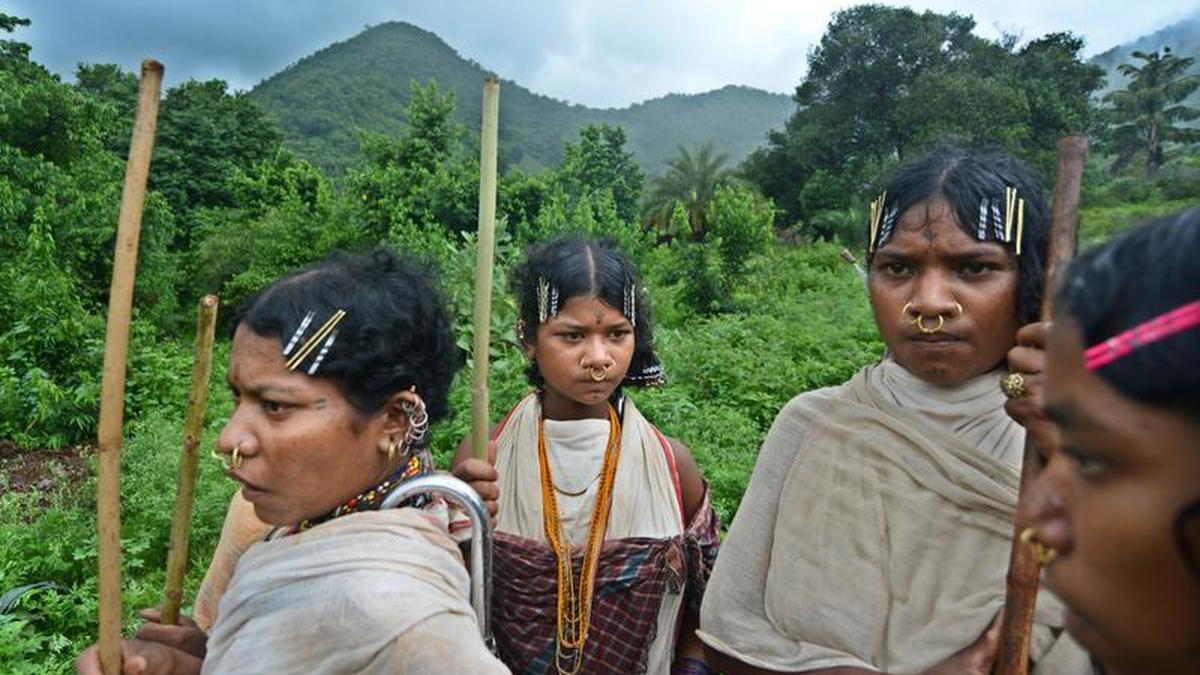 Niyamgiri Mining Revival Sparks Tribal Rights Uproar in Odisha