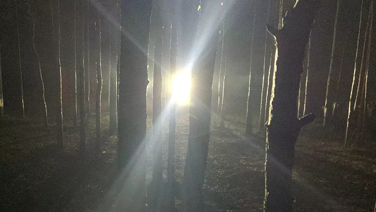 Country Boys in Kentucky Hear Knocks in Woods at Night Before One Catches Glimpse of Bigfoot With Spotlight