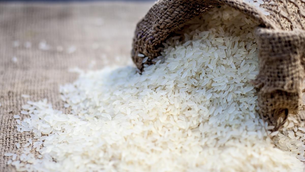 Rice Prices Soar Across India: Government Urges Farmers to Switch Crops
