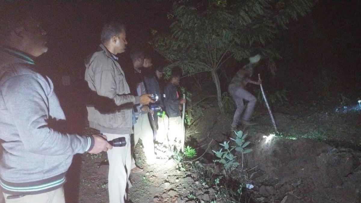 Tiger Reserve Horror: Forest Dept Hunts Killer After Daily-Wage Worker Found Partially Eaten in Sathyamangalam