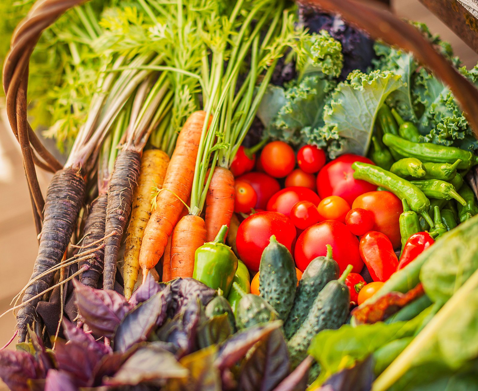 8 Vegetables You Can Save Seeds From to Grow Again Next Year