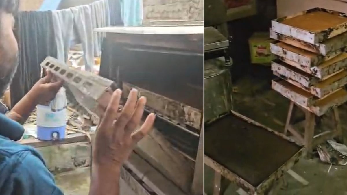 Garbage, Flies, Ants and Expired Cherries Found at Indore Bakery; Suspension Proposed