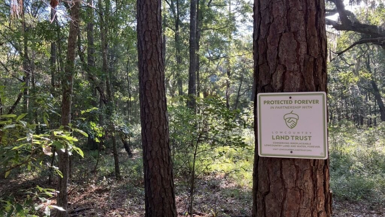 Enterprise Tech Shift: South Carolina pairs 102-acre nature preserve with 50 affordable homes and the Scaling Frontier