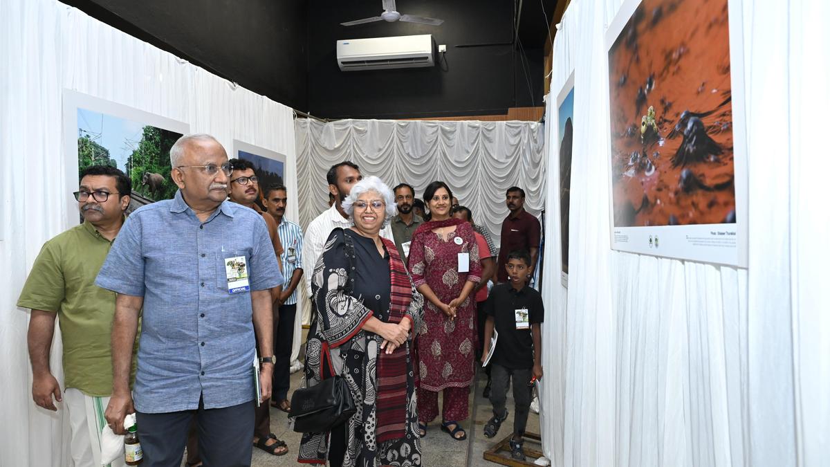 Protected Areas Shrinking Amid Rising Development Pressure, Warns Wildlife Conservationist Ranjitsinh