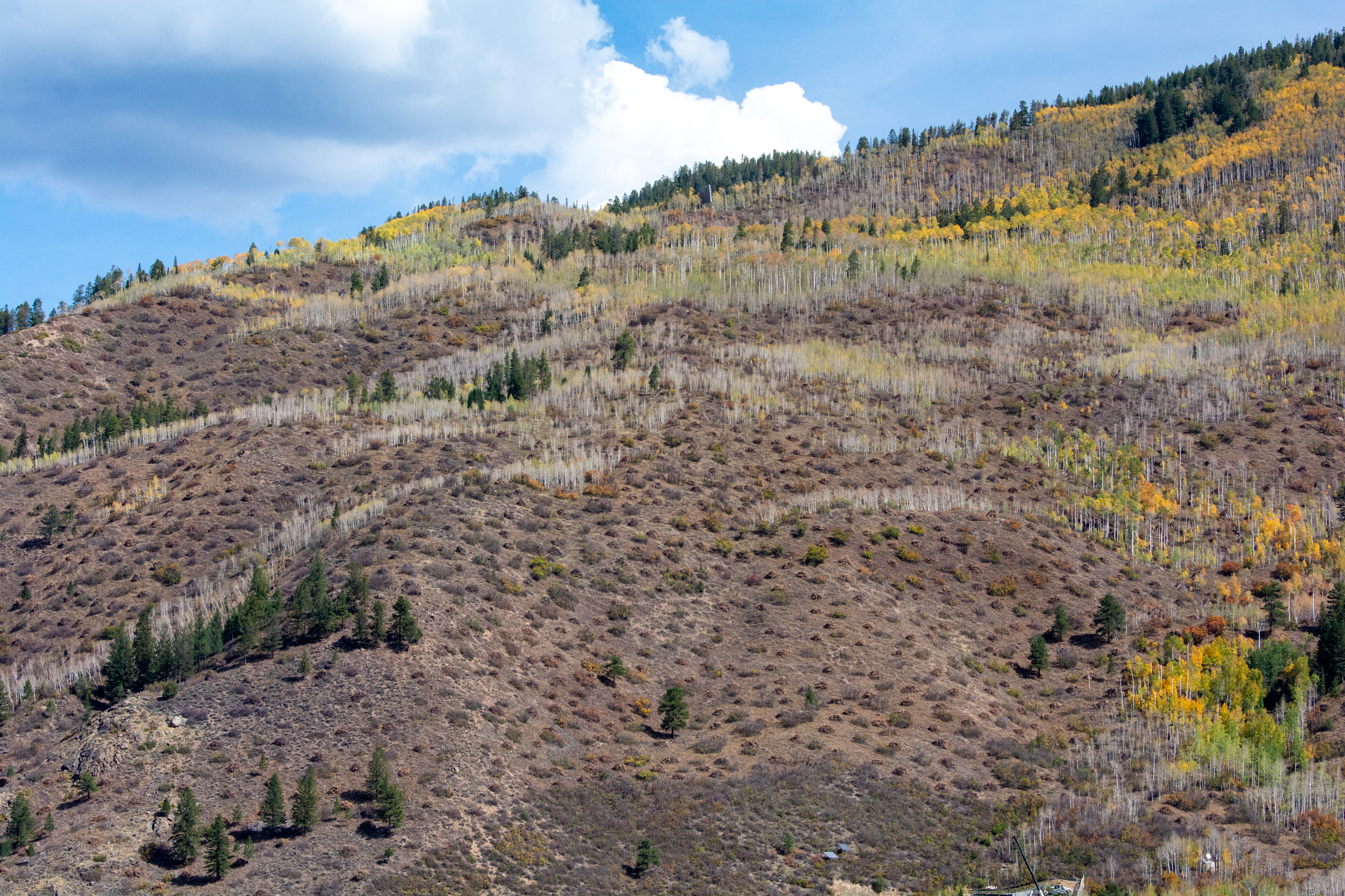 RFV Made It Through Colorado’s Worst Fire Season Relatively Unscathed