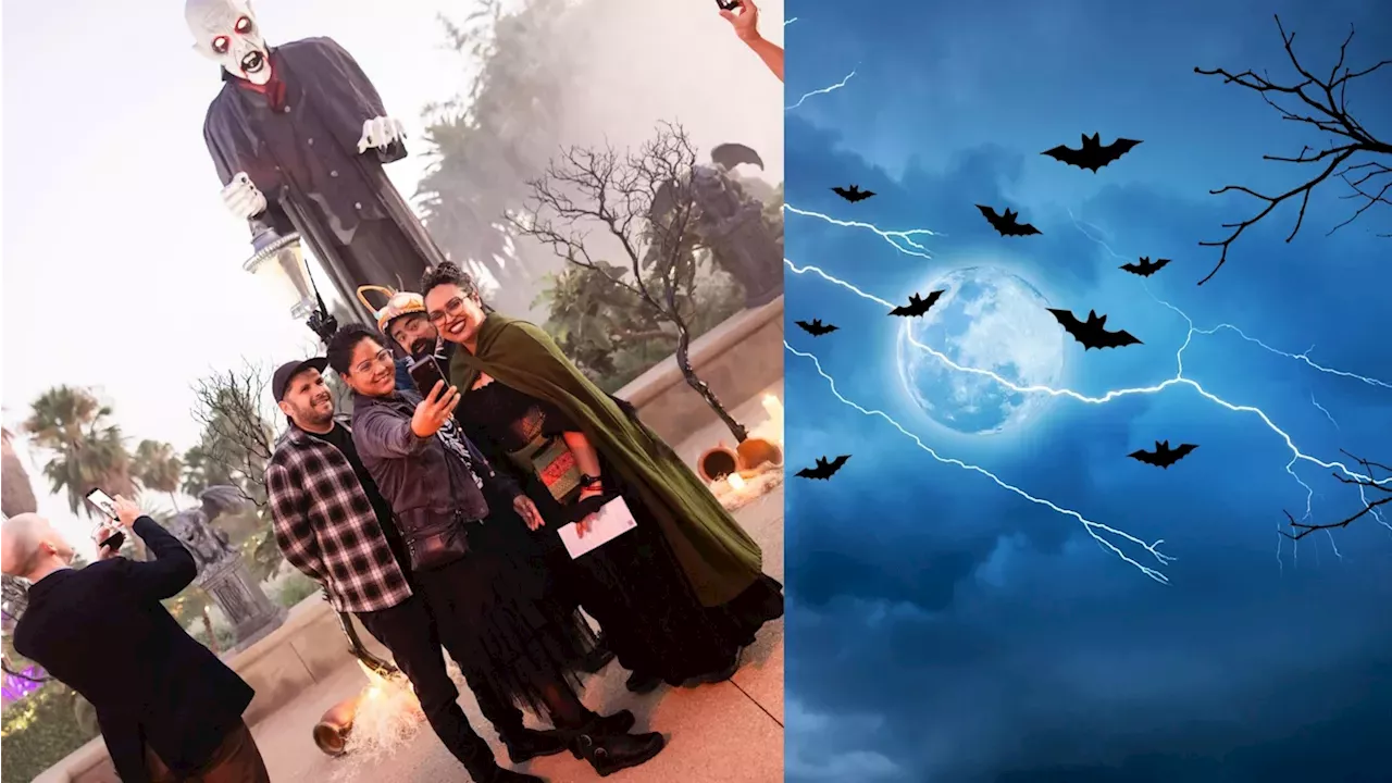 Corporate Strategy: Spend a Halloween-inspired evening at The Huntington exploring ‘Strange Science