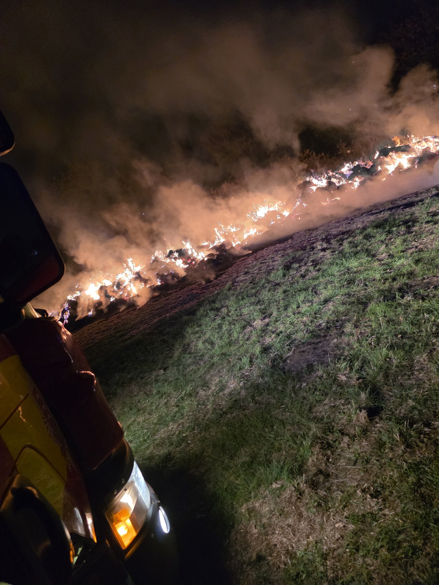 Economic Impact: Popular attraction issues animal welfare update after 'deliberate' blaze