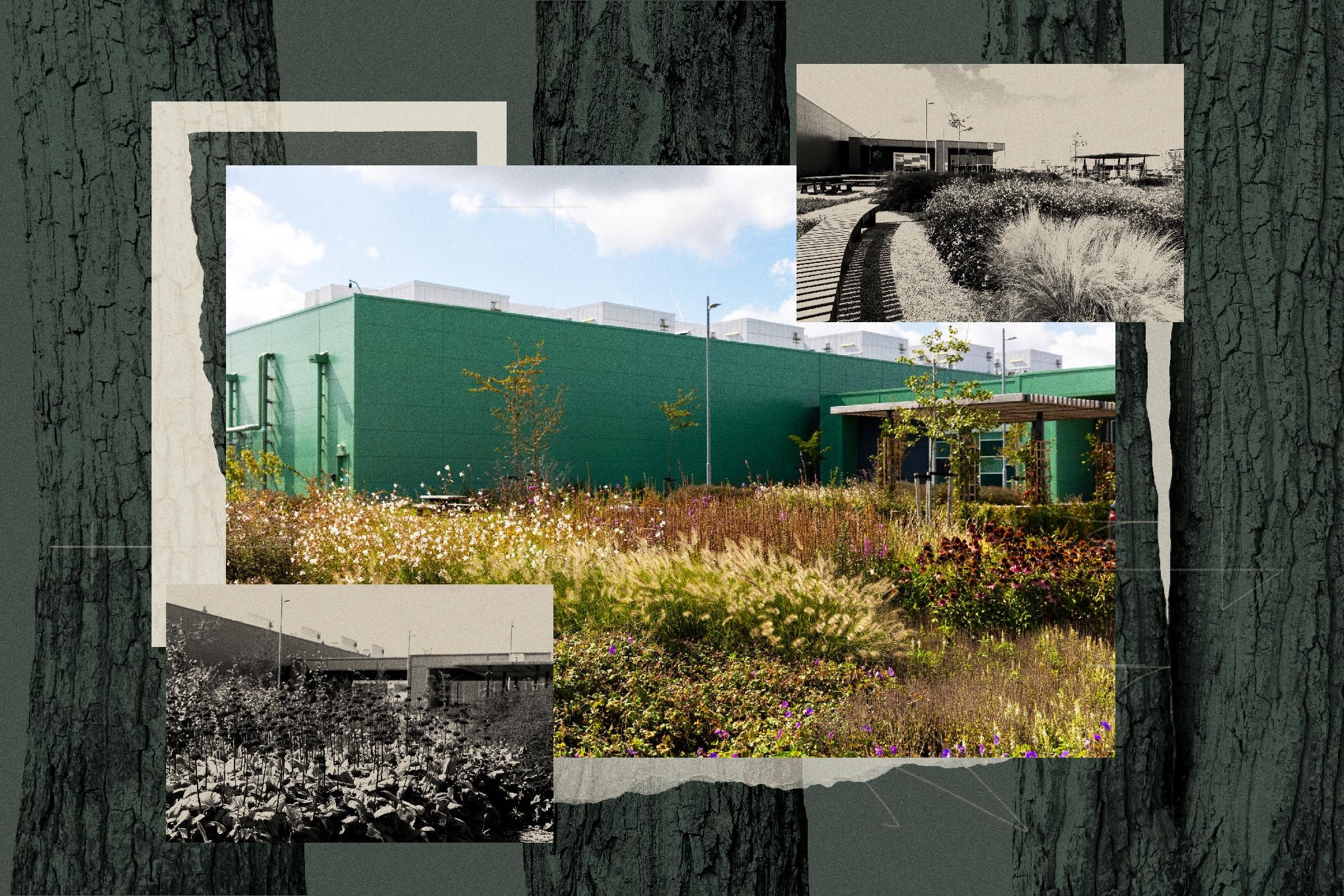 Tech Frontier: If a data center is camouflaged in the woods, will anyone hate it?