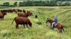 US Ranchers Crushed by Soaring Costs—Will Loyalty to Trump Survive the Midterms?