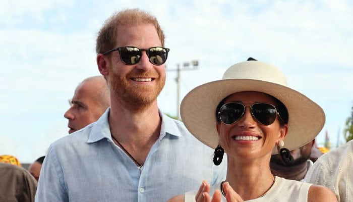 Prince Harry, Meghan Take on Official Joint Role Amid Royals' Busy Diary