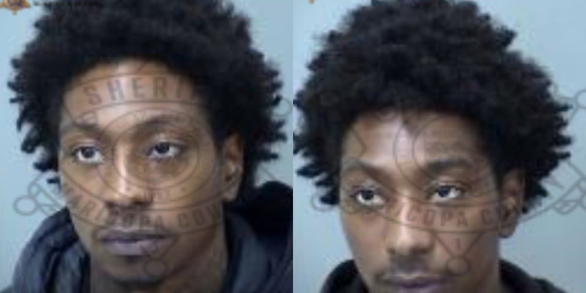 Avondale brothers arrested after undercover teen prostitution sting