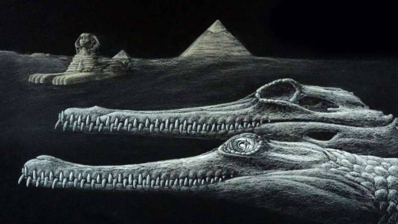 New Crocodile Species Found in Rocks Used to Build Egypt’s Great Sphinx