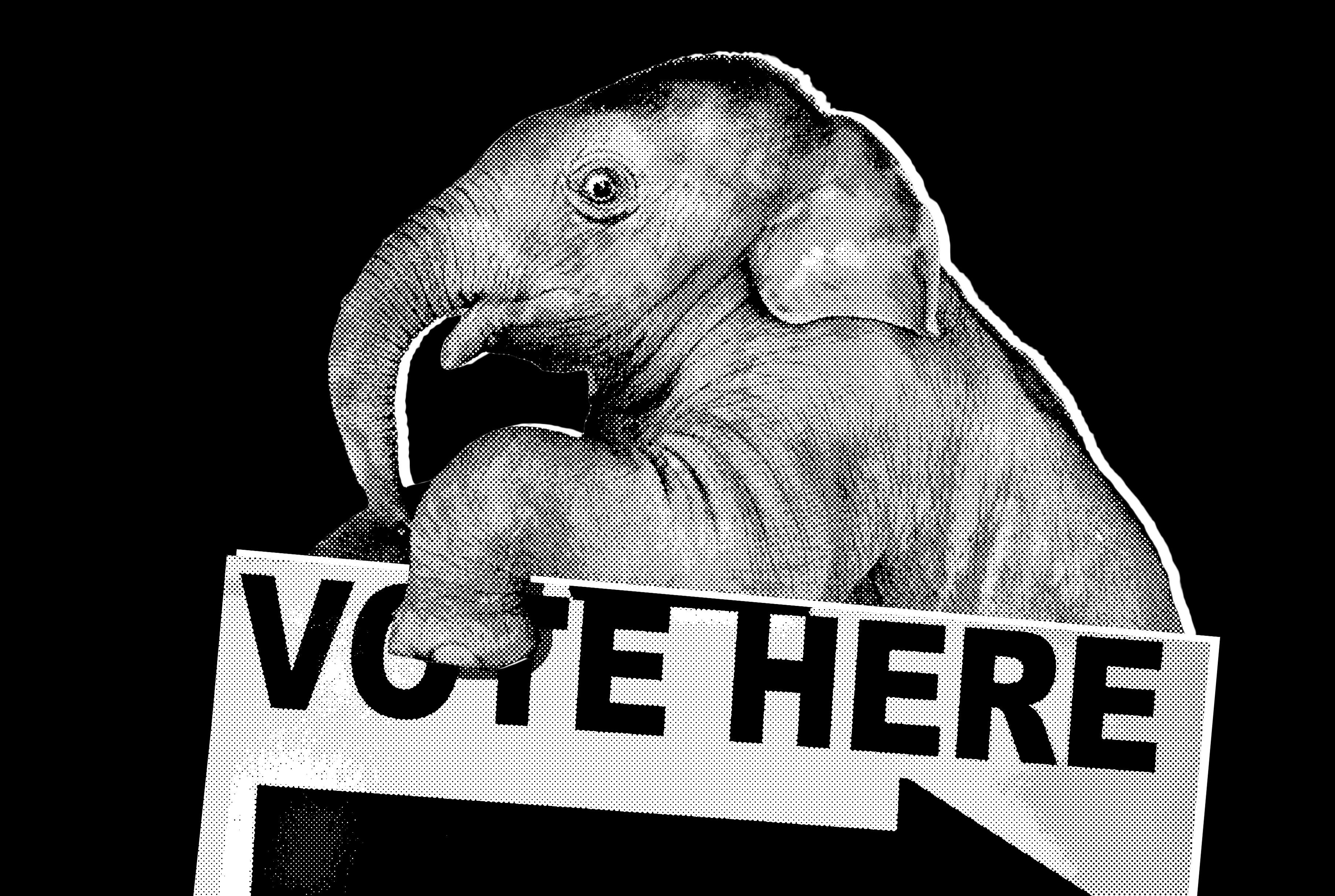 Tech Frontier: The White House Is Starting to Panic Over the Midterms