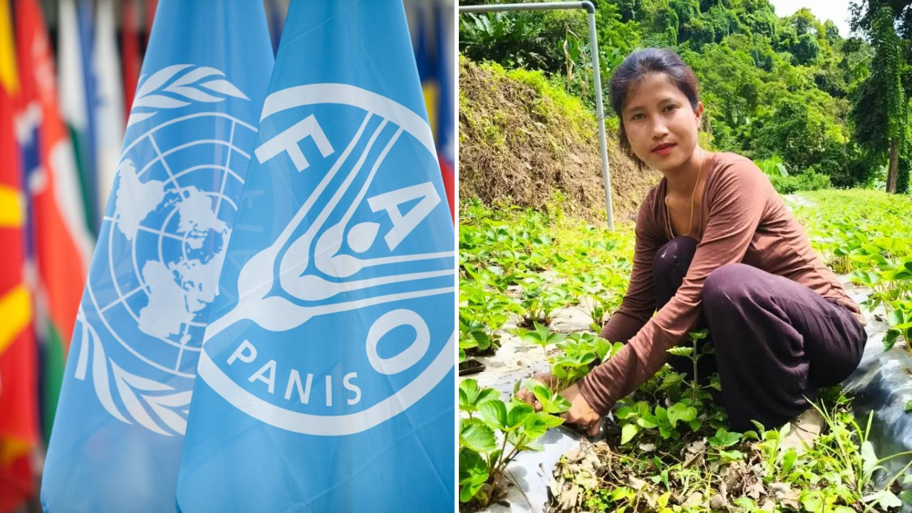 Mizoram Woman Left Teaching for Farming; Now She Is Being Honoured by UN