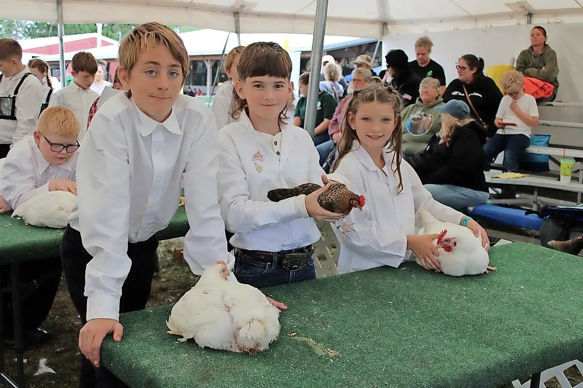 Tuscarawas County Fair sales raise $1.62 million for 4-H youth