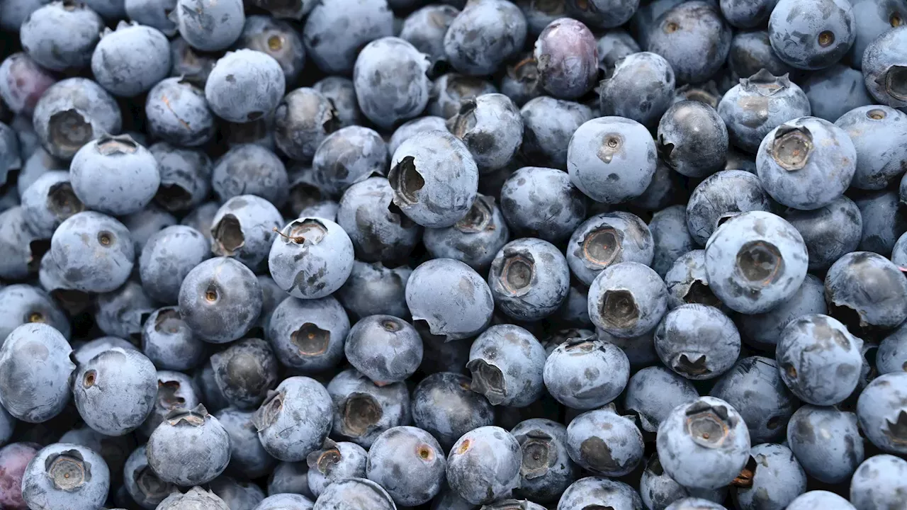 Frozen Berry Recall Linked to E. Coli Outbreak Expands to Walmart, Trader Joe's in Dozens of States