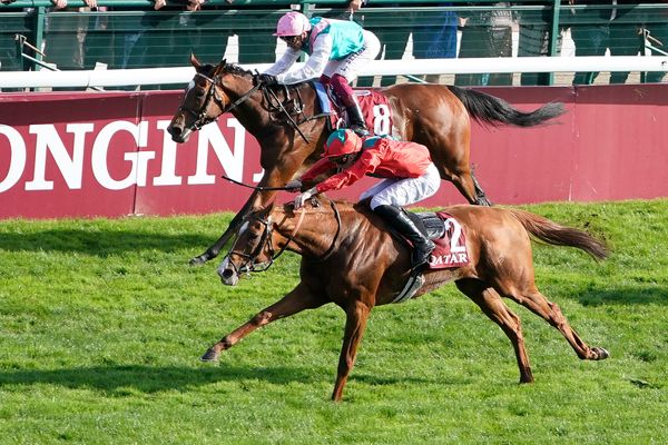 Market Developments: He's got to play his cards as late as possible' - Frankie Dettori predicts Arc glory for leading British hope, but only if the jockey gets it right