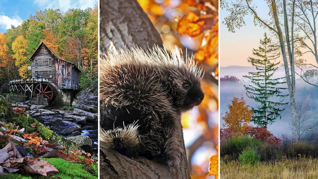 Corporate Strategy: What I've Learned After 20 Years of Photographing Fall Color