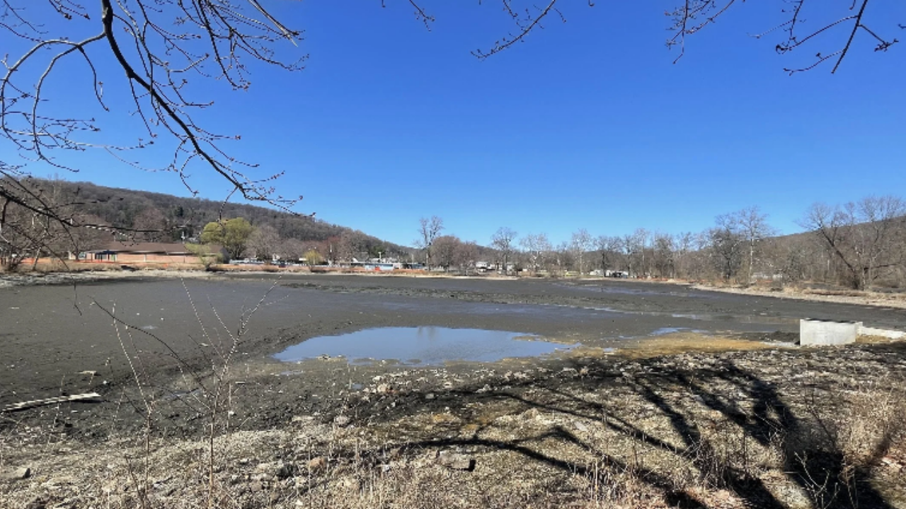 Policy in Focus: 49 musk turtles return to Pennsylvania lake after pollution cleanup and Its Wider Institutional Repercussions