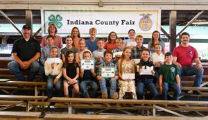 Enterprise Tech Shift: 4-H members involved in many aspects of Indiana County Fair and the Scaling Frontier