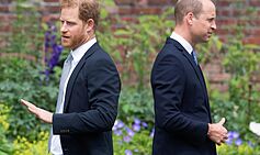 William Reaches 'sad' New Milestone in Prince Harry Feud As Insider Unveils Major Change in Major Strategic Push