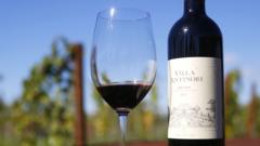 €5M Wine Heist: Thieves Steal 30,000 Bottles from Florence Winery in One of Italy's Largest Thefts