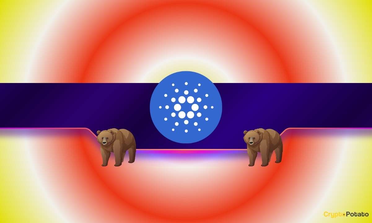 Why Why Is Ada’s Price Down 8% Today Even As Cardano Whales Wake Up Has Sparked Heated Debate