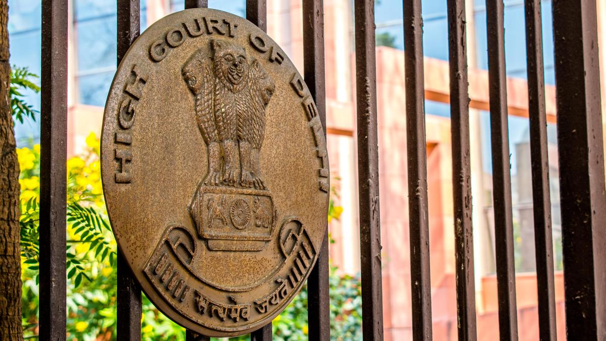 Delhi HC Rejects SIT Probes into 2020 Riots and 2019 Jamia Violence