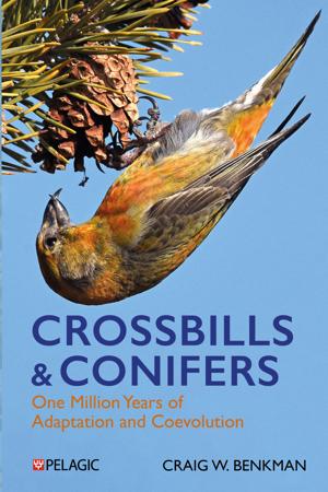 Bird Banter: Cassia Crossbill Subject of New Book by UW Professor Emeritus