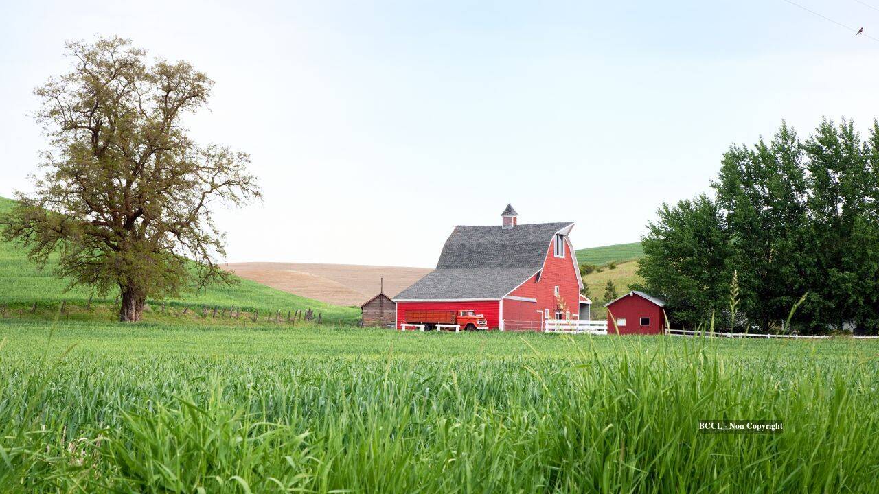 Global Perspective: Iowa family auctions 1,209-acre farm after 84 years on the land