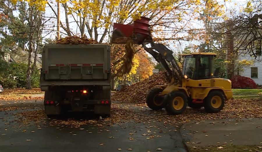 PBOT Nixing 29 Zones from Leaf Day After Last Year's Expansion. Here's Why