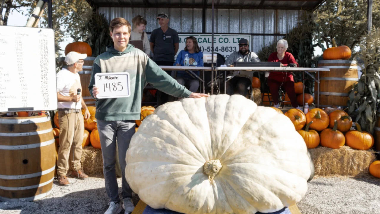 Giant Pumpkin Wins BC Contest by Just 1 Pound After Weighing 1,485 Pounds
