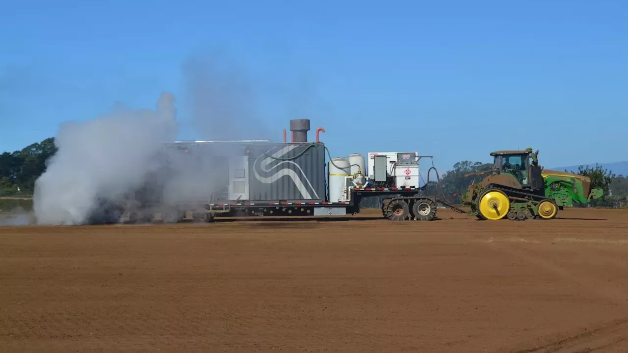 Trading Pesticides for Steam: Northern California County Tests Safer Berry Farming