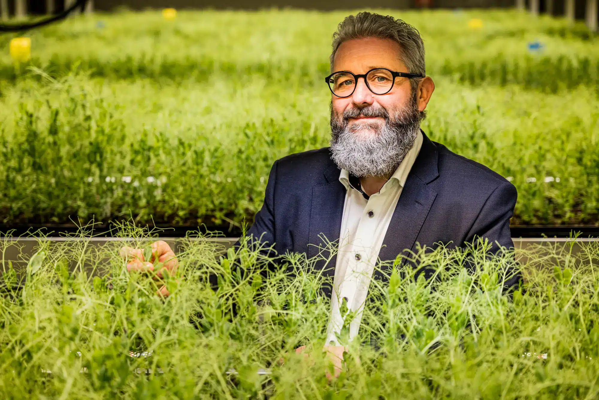 Market Developments: Plant and Bacterial Genetics: The Two Parts of Europe’s Soybean Story