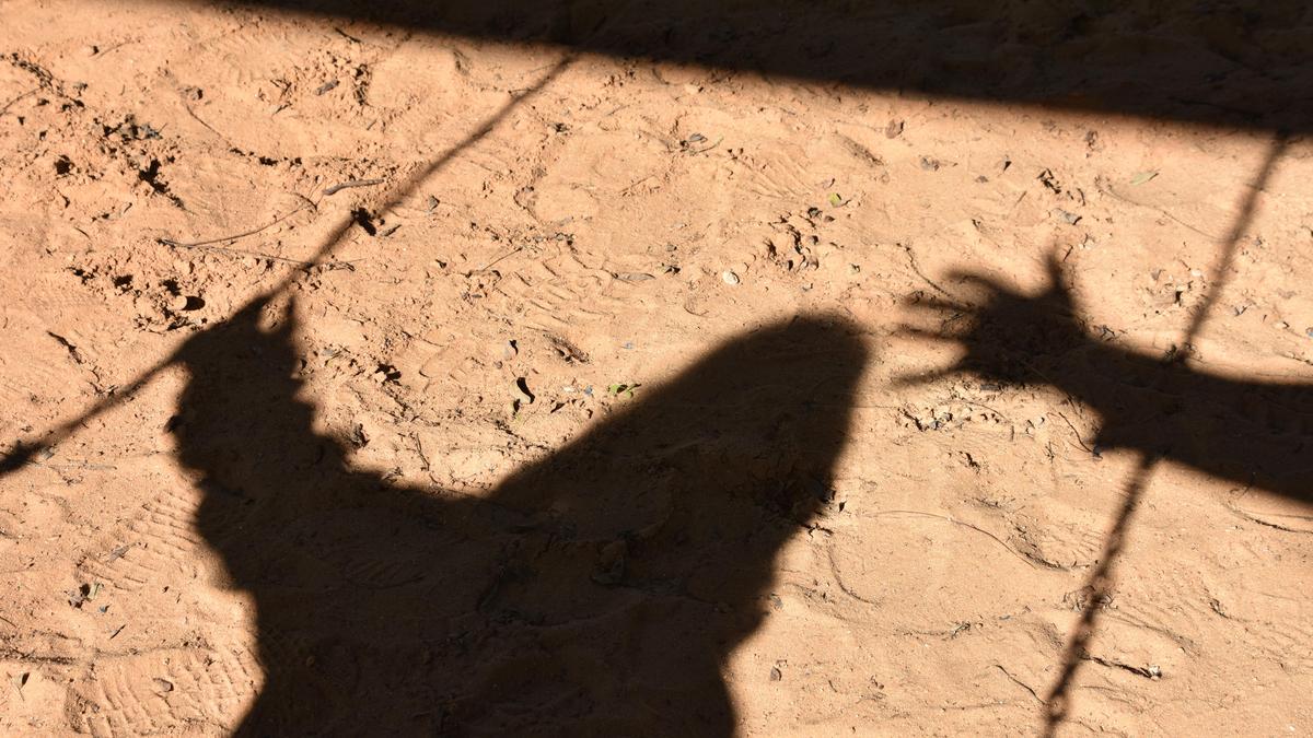 Assault on Child: Child Rights Panel Registers Case as International Observers React