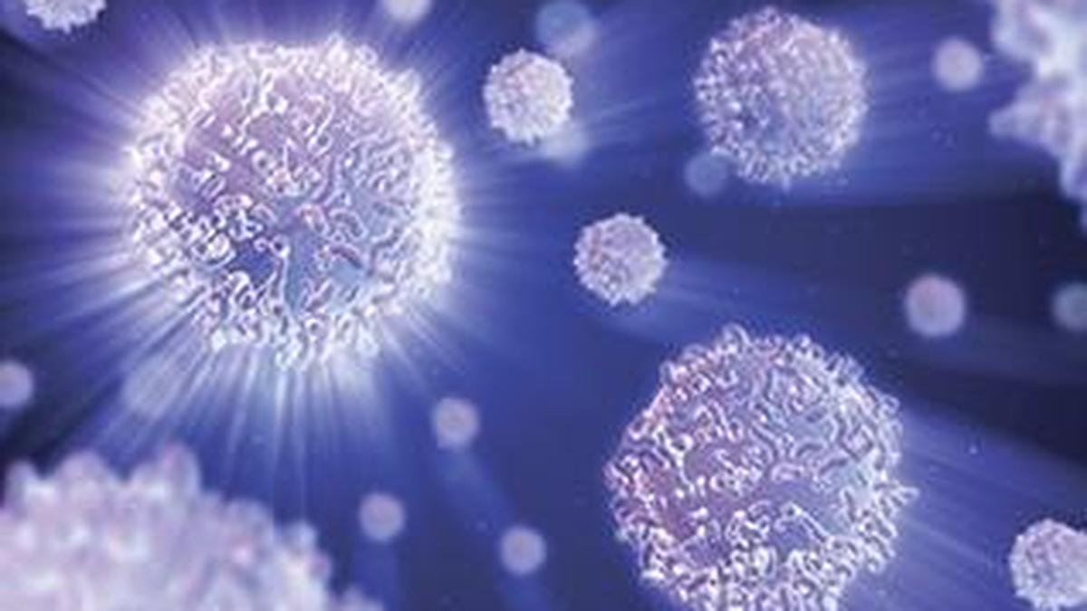 Developing Story: IISc researchers use light to fix cell division