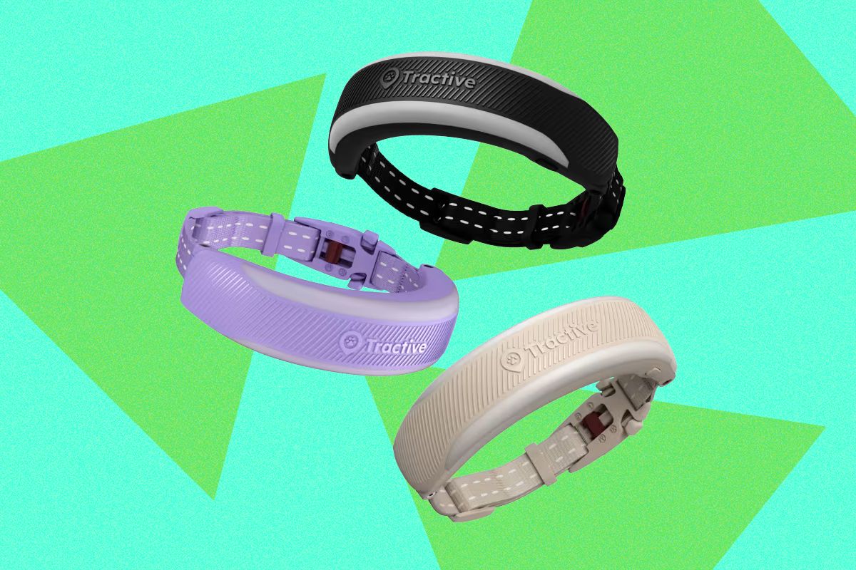 Industry Shift: Tractive Cat 6 Mini Review: A Fitbit for Your Cat